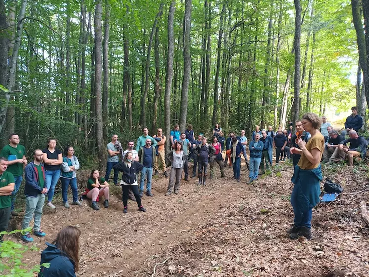 Une réunion du CRPF sur le terrain, dans une forêt du Cantal