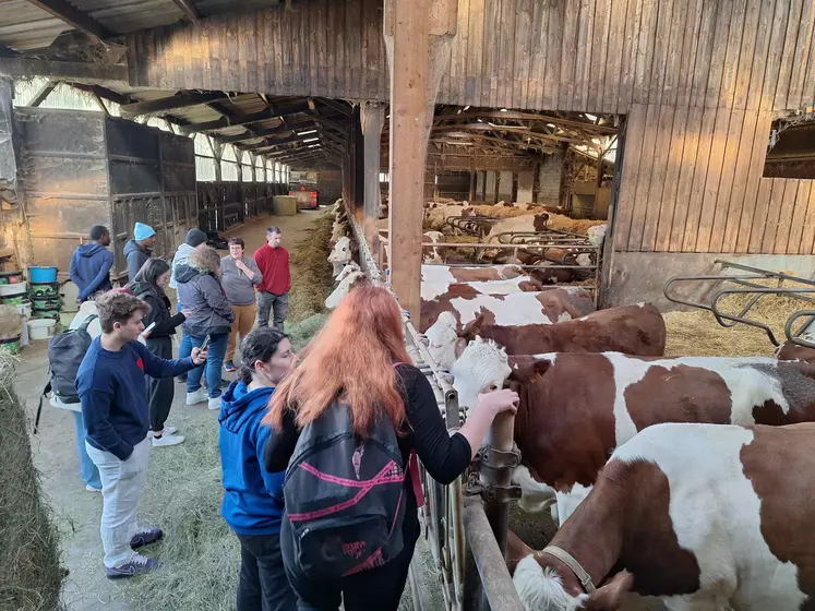Les jeunes se sont montrés très intéressés par l'exploitation de Pauline et Claude Bonnet, en particulier  par les vaches laitières.