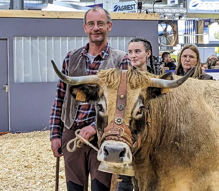 Patrick Solignac tient Lebroune, sa vache Aubrac âgée de neuf ans, sur un ring.