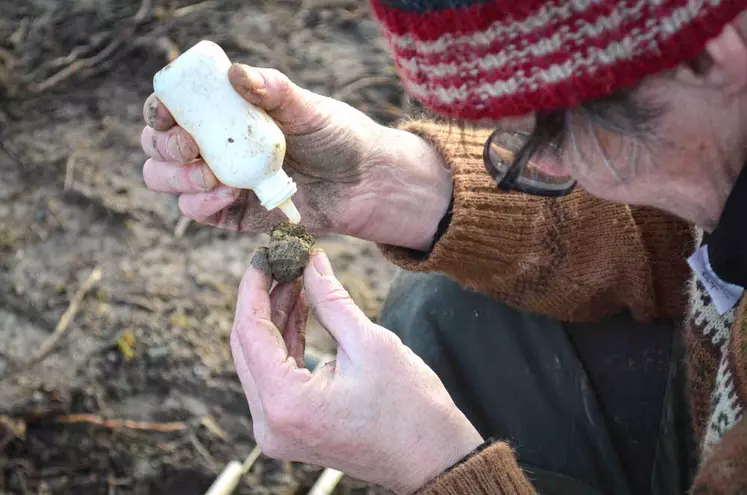 Une femme accroupie applique un produit sur une motte de terre.