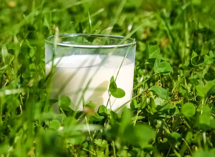 verre de lait dans une prairie commerce équitable