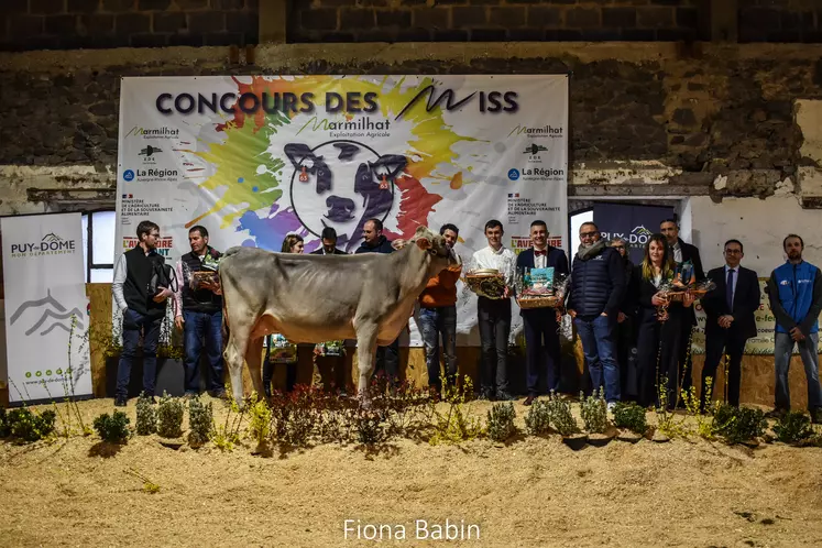 Une vache présentée lors d'un concours, entourée d'éleveurs et élus.
