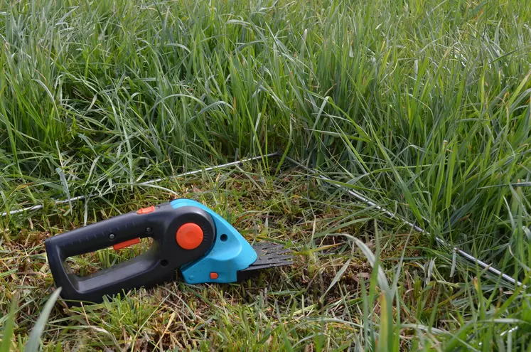 mesure pousse de l'herbe tondeuse à main
