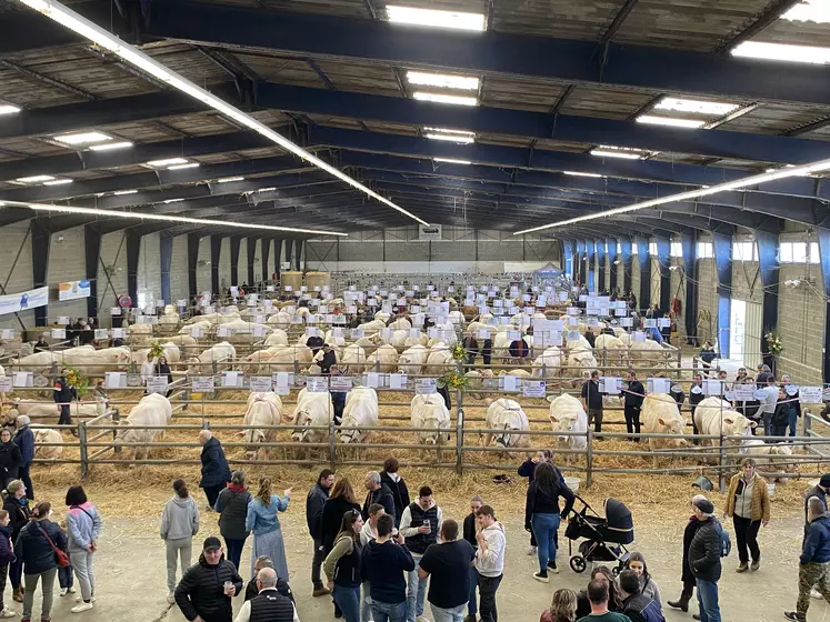 exposition d'animaux sous un hangar pour la foire de boussac