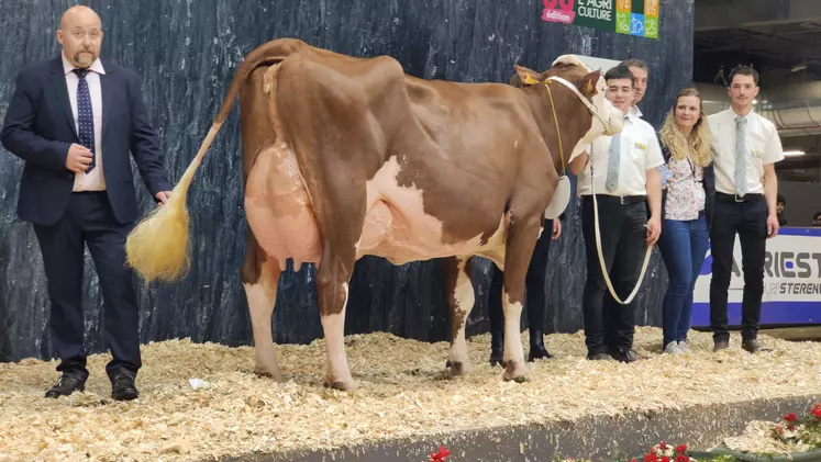 Paella (Macintosh / istapic) du GAEC du Pivert a été élue championne et mamelle adulte.