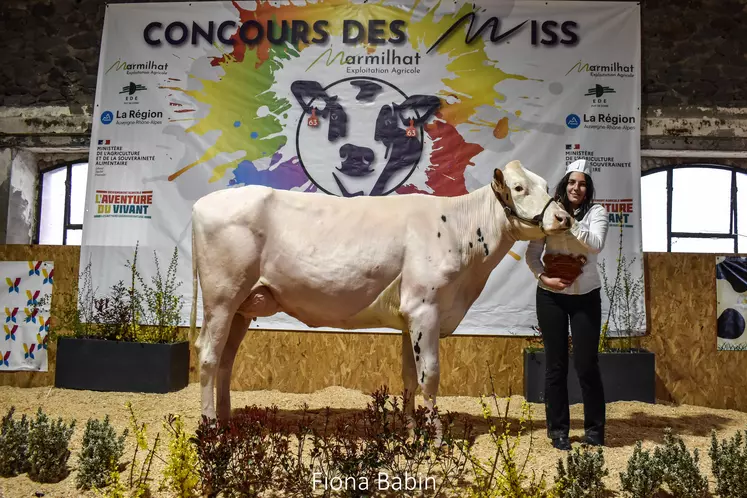 Une vache présentée par une éleveuse lors d'un concours.