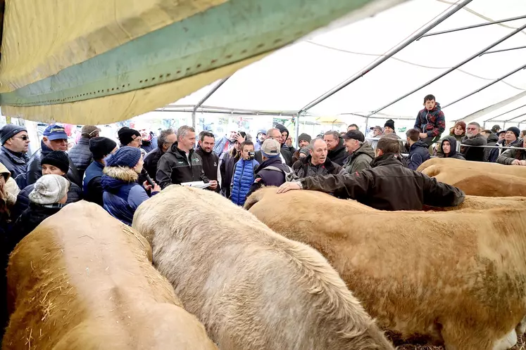 Foire grasse de saint pierre colamine