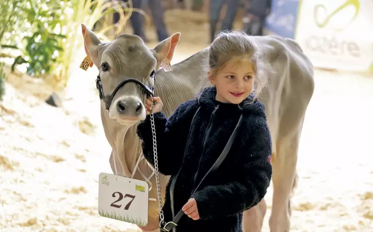 Le concours des jeunes meneurs bat son plein