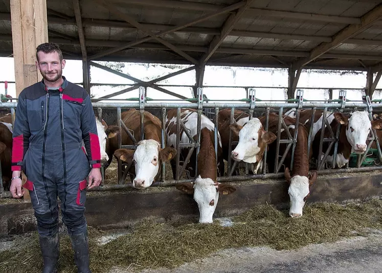 Loan Julien et son troupeau de Simmental.