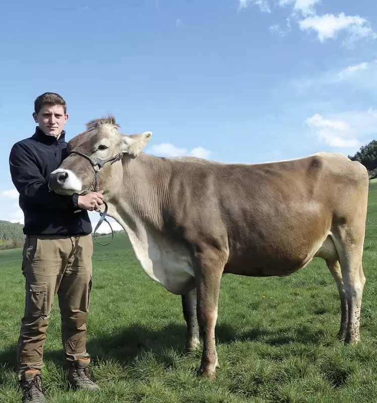 Yoan Valentin et la vache brune qu'il a présenté en concours