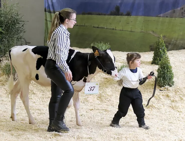 Les Prim'holstein lors du concours des jeunes meneurs