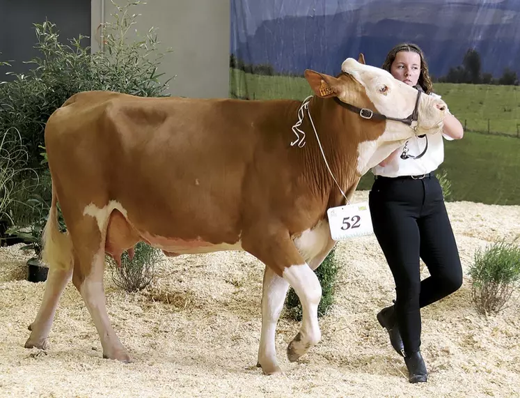 Les jeunes meneurs en concours