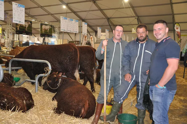 La salers et ses éleveurs à l'affiche de la 33ème édition du Sommet de l'Elevage à l'occasion de son concours national.