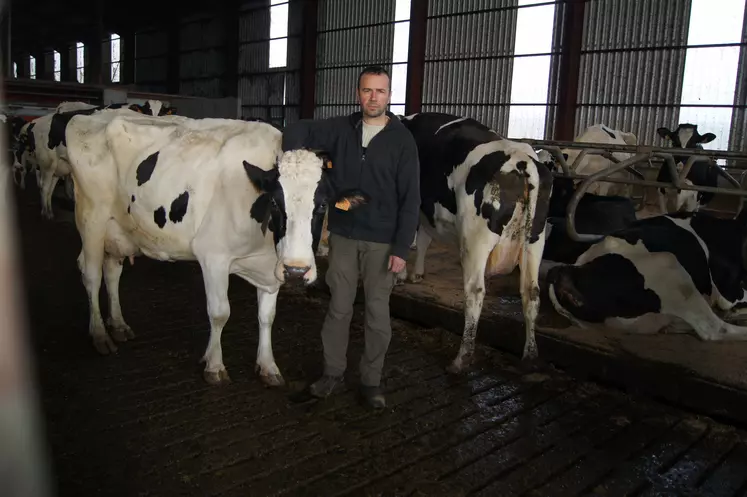 éleveur au milieu de ses vaches