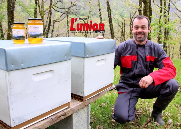 Apiculteur devant ses ruches dans le Cantal, avec en premier plan des pots de miel