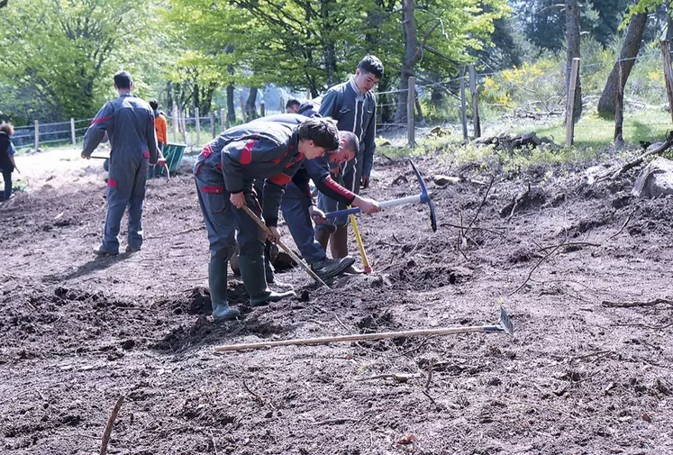 Les élèves de bac pro préparent les plantations dans leur parcelle pédagogique
