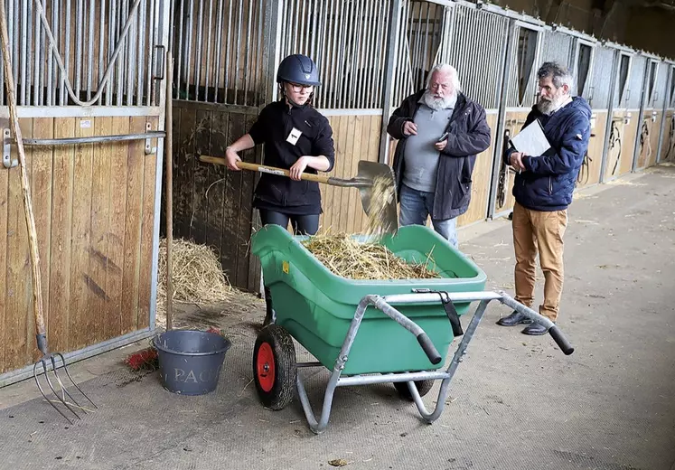 Le concours des palefreniers-soigneurs au lycée agricole de Saint-Chély-d'Apcher