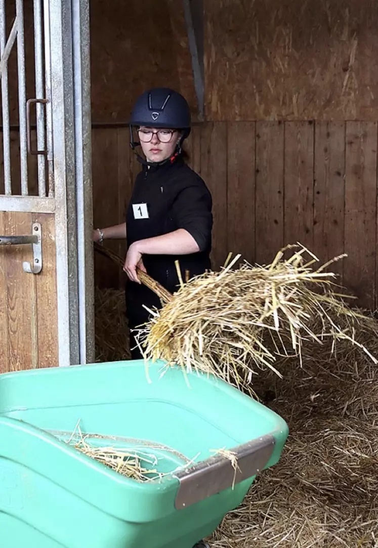 Le concours des palefreniers-soigneurs au lycée agricole de Saint-Chély-d'Apcher