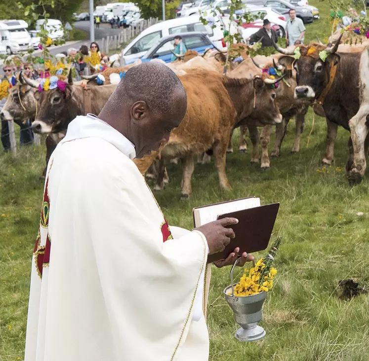 La fête de la transhumance au col de Bonnecombe pour célébrer les Aubrac