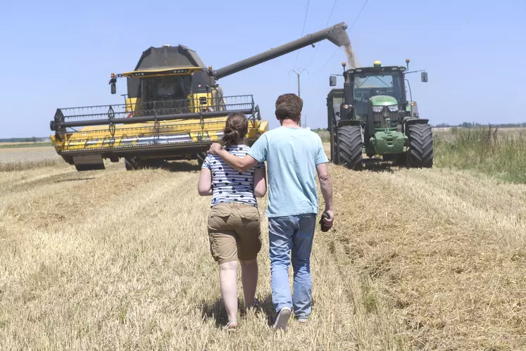 Une femme et un homme avancent côte à côte dans un champs en train d'être moisson