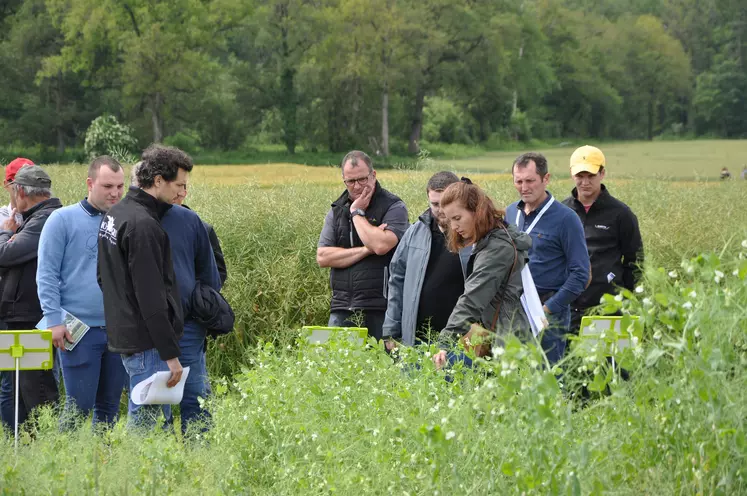 La plateforme expérimentale a accueilli près de 1000 personnes durant deux jours.  