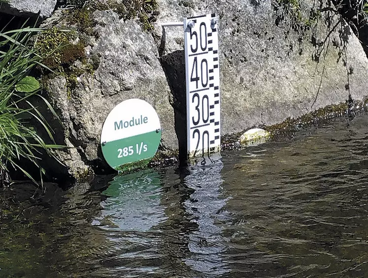 Une échelle graduée sur un cours d'eau