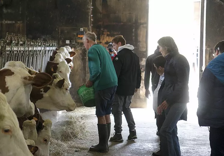 Jean-Yves Jourdan donne à manger à ses vaches