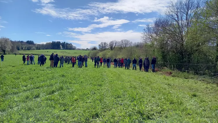 Groupe de personnes visitant un pré.