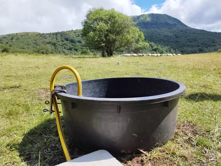 bac d'eau dans une parcelle au pied du puy de dôme