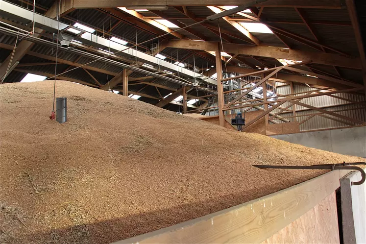 stock de grains dans un hangar