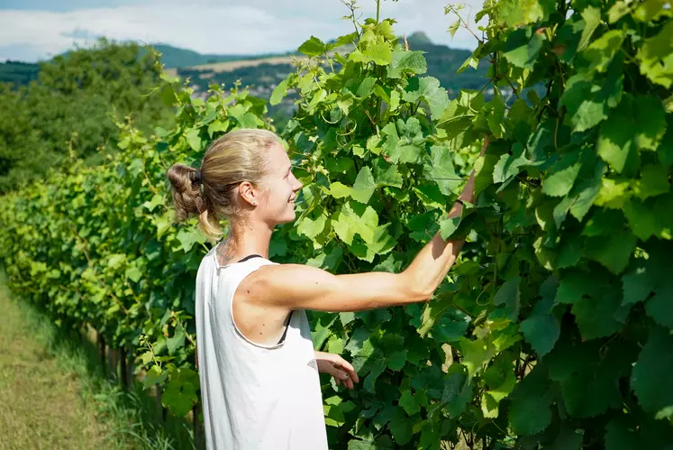 Une femme dans des vignes