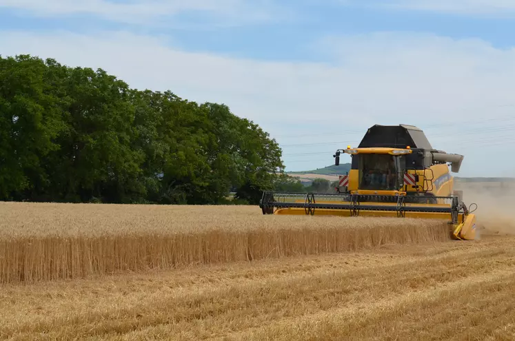 moissonneuse new holland dans un champ de blé en limagne