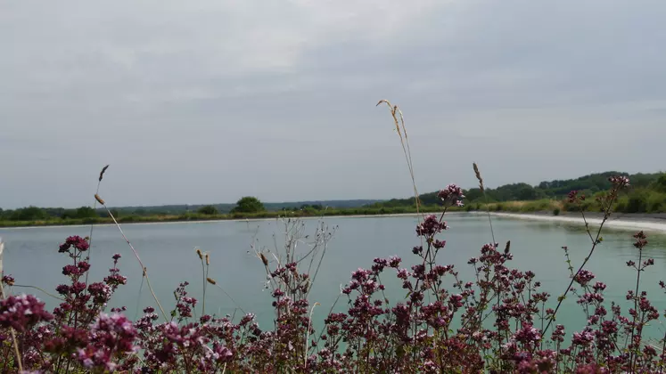 Réserve d'eau en Charente.