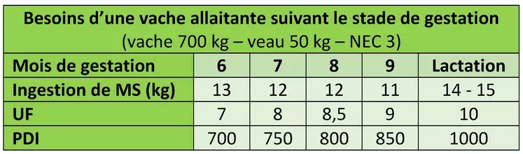 Tableau des besoins d'une vache allaitante.