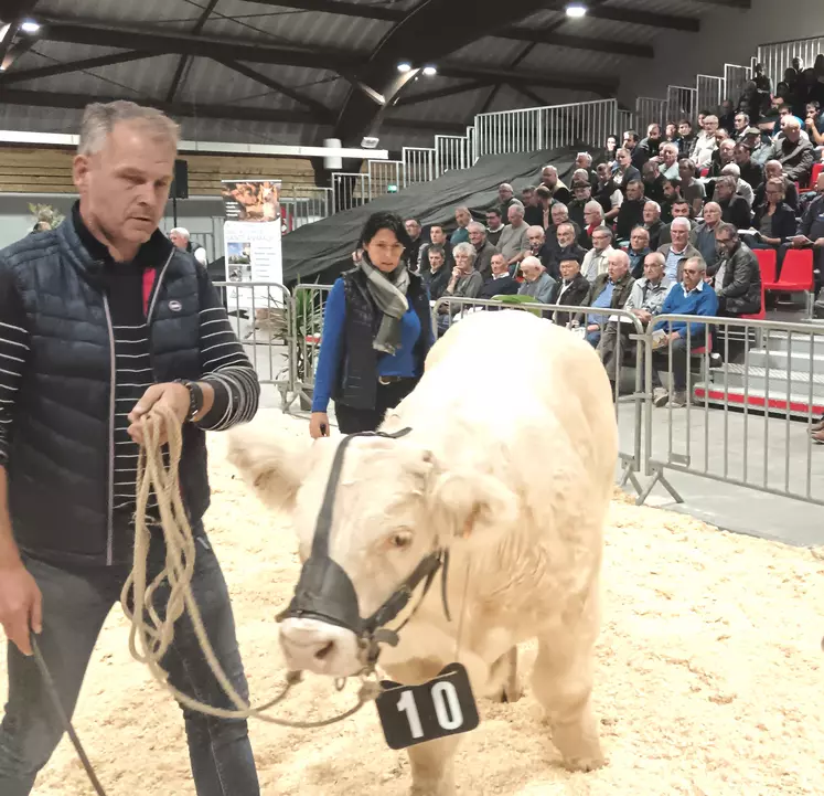 Jérôme Hoorelbeke propriétaire de « VOLDENUIT », jeune veau acquis par Michel Champeau (Nièvre) pour 11 700 euros.