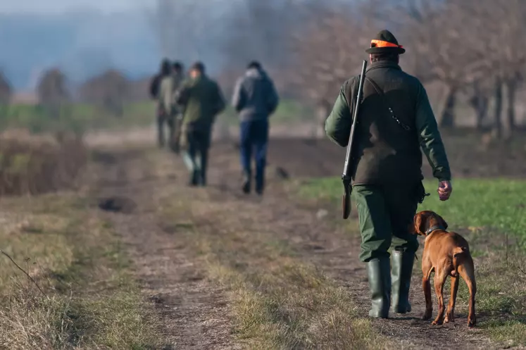 des chasseurs avec un chien