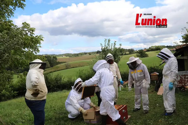 Apiculteurs transvasant dans un pré les abeilles d'une ruche à une autre.