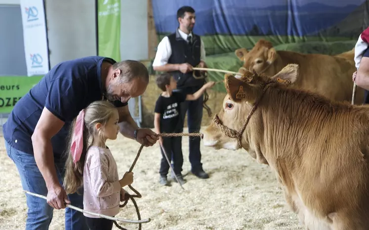 Le concours Qualiviande qui a eu lieu à la grande halle d'Aumont-Aubrac