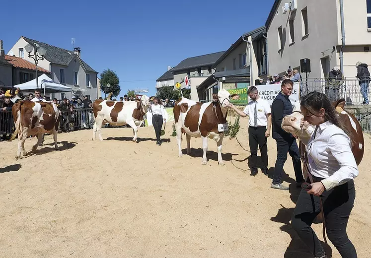 Le comice de Grandrieu ce week-end