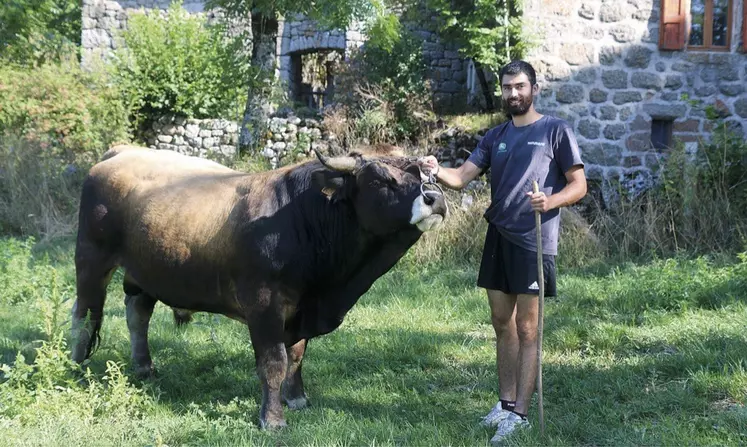 Sylvain Pantel et Tintin