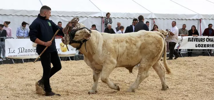 La fête de l'Aubrac à Nasbinals