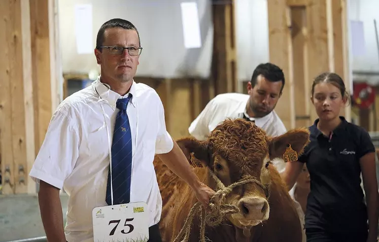 Le concours Qualiviande qui a eu lieu à la grande halle d'Aumont-Aubrac