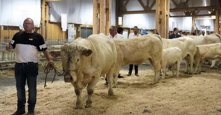 Le concours Qualiviande qui a eu lieu à la grande halle d'Aumont-Aubrac