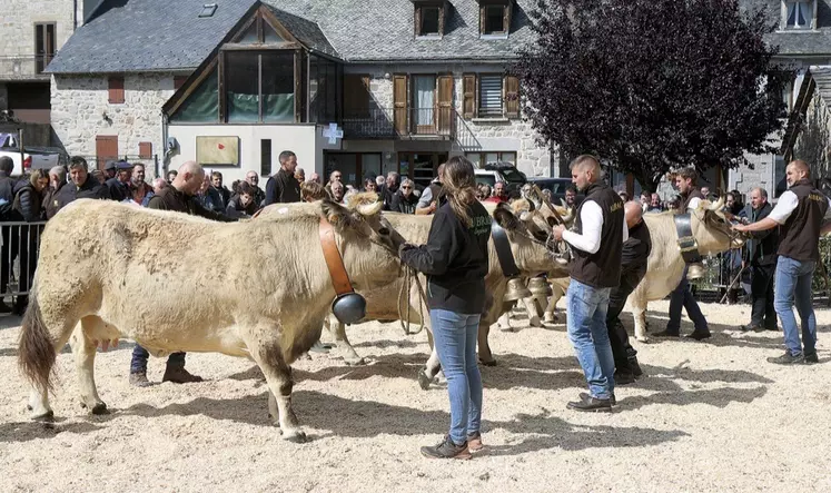 Le départemental Aubrac à Nasbinals