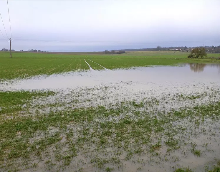 Une parcelle inondée