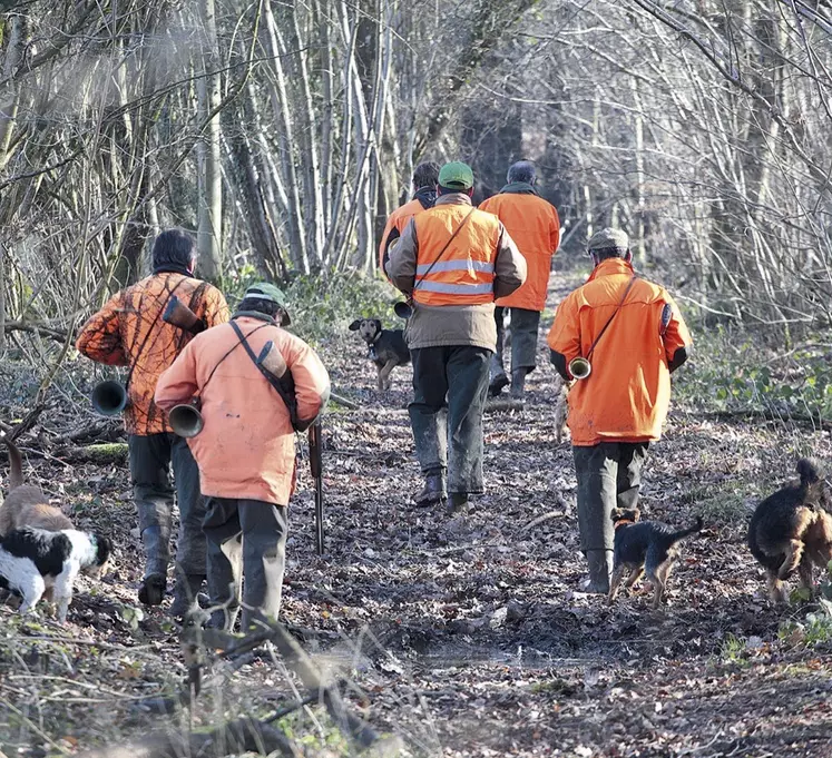 Des chasseurs en forêt avec leurs chiens