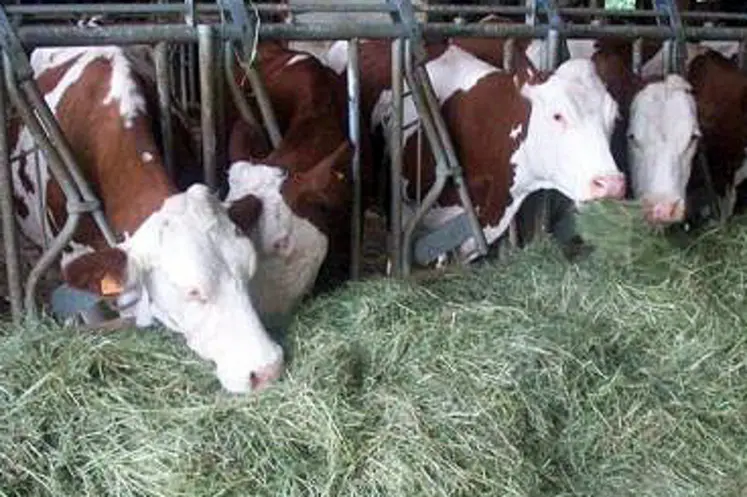 Maîtrise technique et cohérence du système permette d'avoir une marge sur coût alimentaire au delà de 6€/vache/jour.