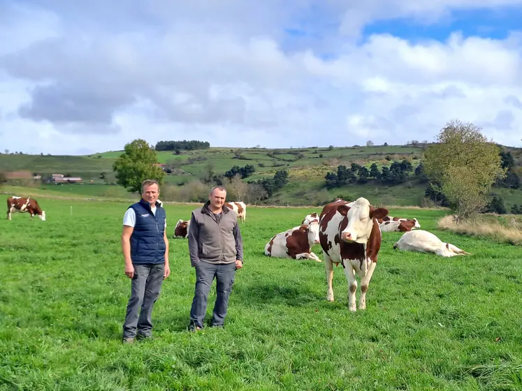 Cette année, c'est Montbéliarde Haute-Loire qui organise son AG conjointement avec Haute-Loire Conseil élevage.