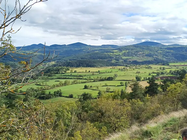 Paysage de campagne avec monts et bocages
