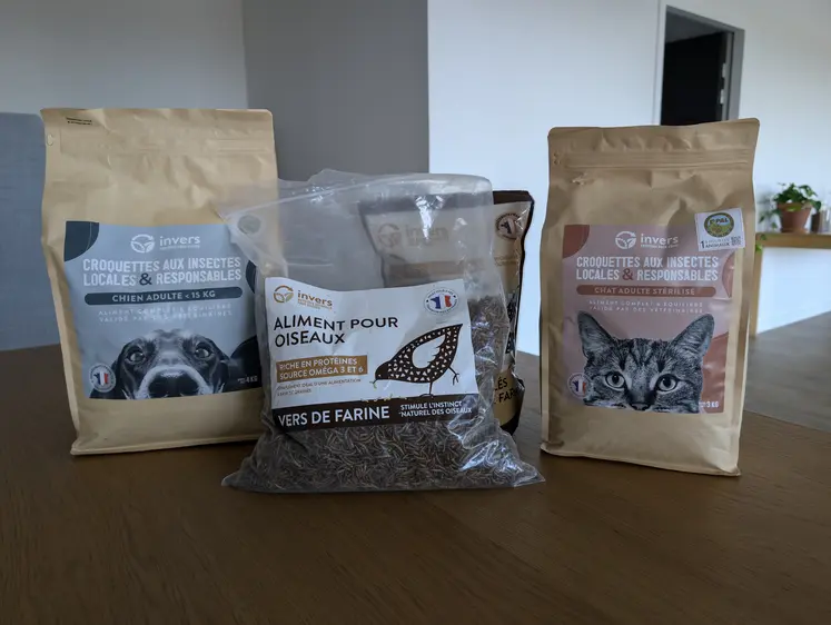 gamme produits invers insectes protéines